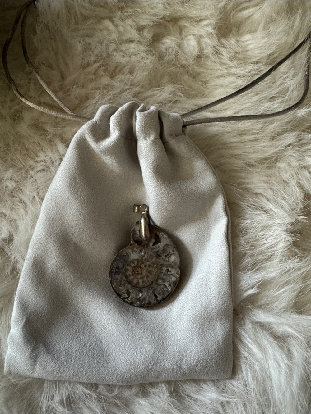 Ammonite Fossil Pendant